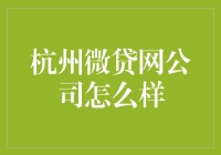 杭州微贷网公司的综合评价及发展前景分析